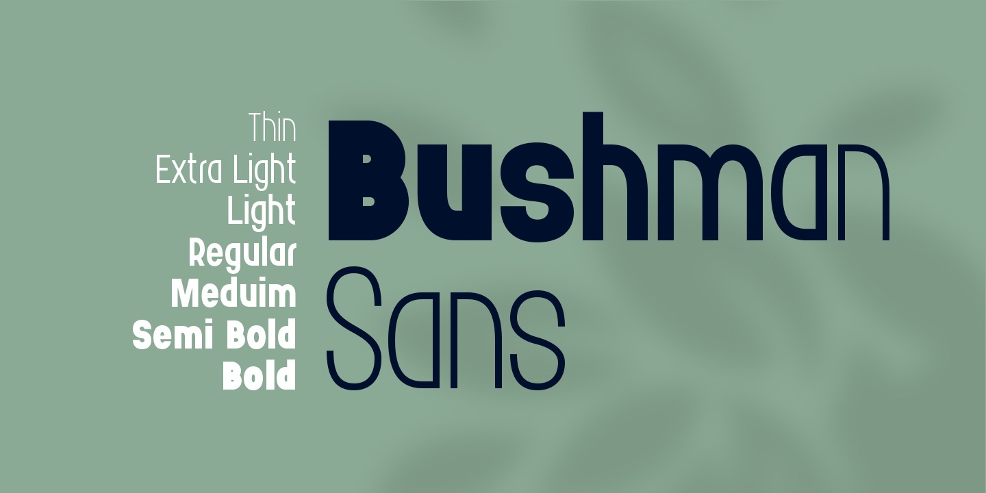Bushman Sans Thin Font preview